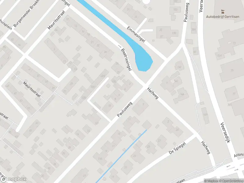 Overlastmelding Paulusweg in Hendrik-Ido-Ambacht