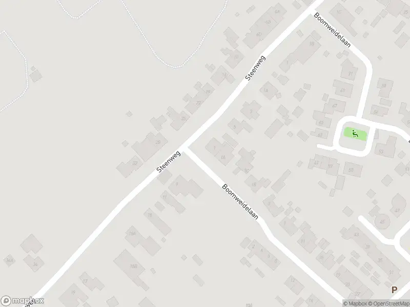 Overlastmelding Boomweidelaan in 4423AP Schore