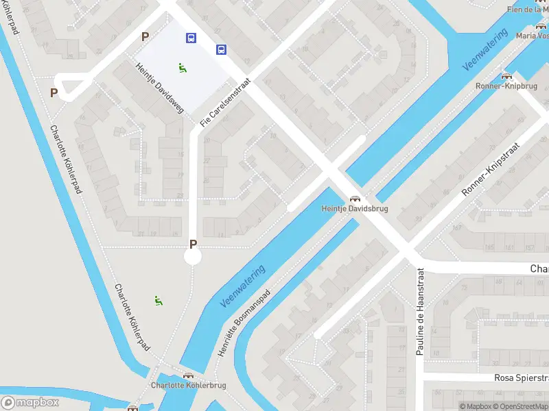 Brandweer met grote spoed naar de Ronnie Biermanpad in Leiden vanwege personen te water