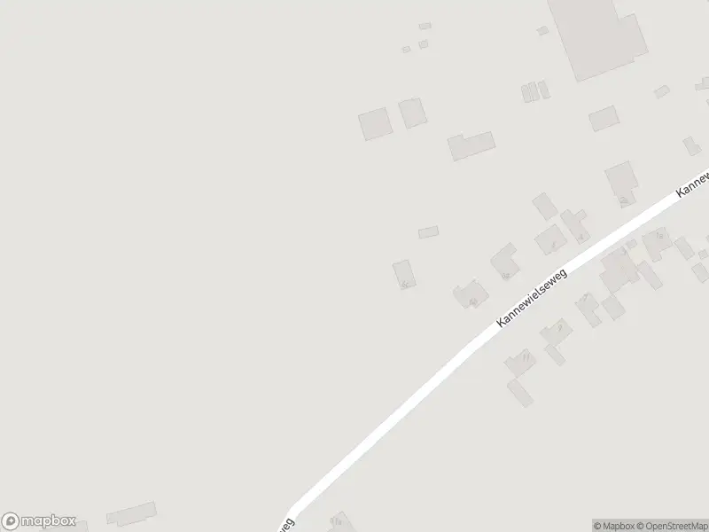 Politie met grote spoed naar de Kannewielseweg in Halsteren vanwege letsel