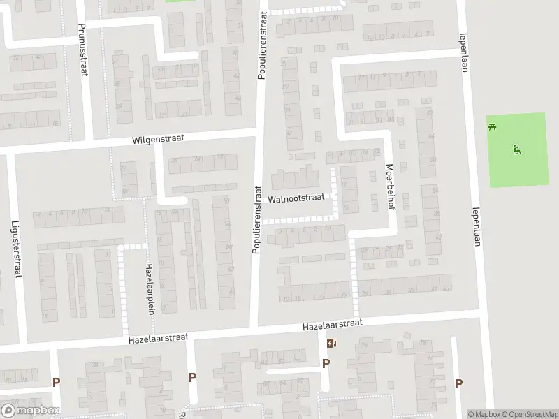 Brandweer met gepaste spoed naar de Walnootstraat in Spijkenisse