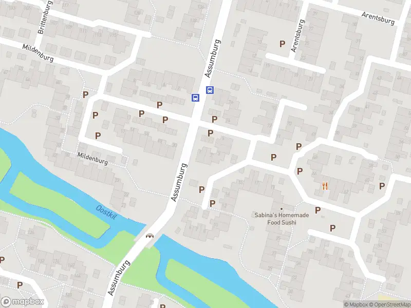 Ambulance met gepaste spoed naar de Ockenburg in Dordrecht