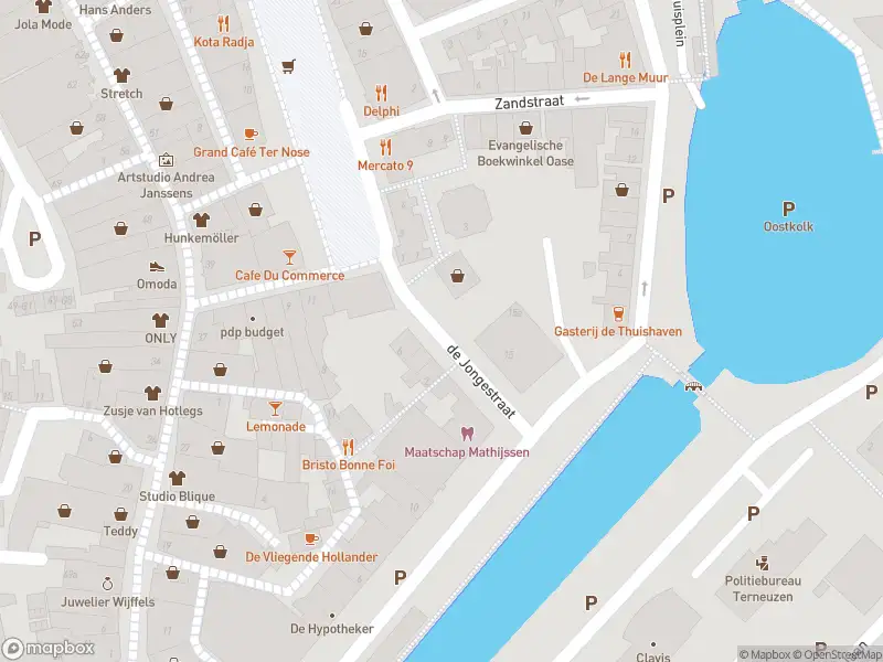 Brandweer met gepaste spoed naar de De Jongestraat in Terneuzen