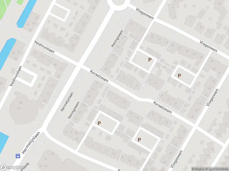 Politie naar de Koraalzwam in Veenendaal vanwege aanrijding met letsel