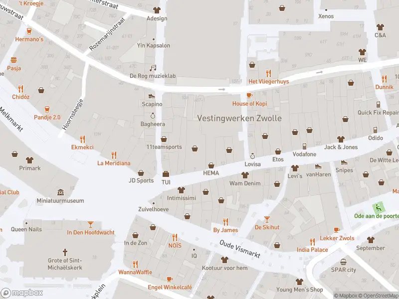 Politie naar de Grote Markt in Zwolle