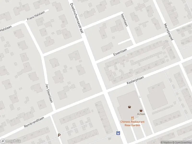 Ambulance met gepaste spoed naar de Doetinchemsestraat in Middelharnis