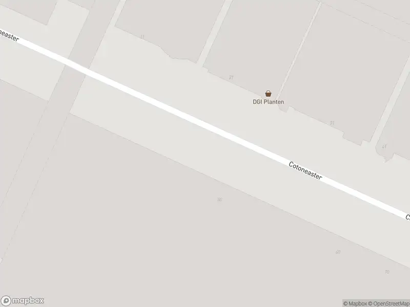 Ambulance met grote spoed naar de Cotoneaster in De Kwakel