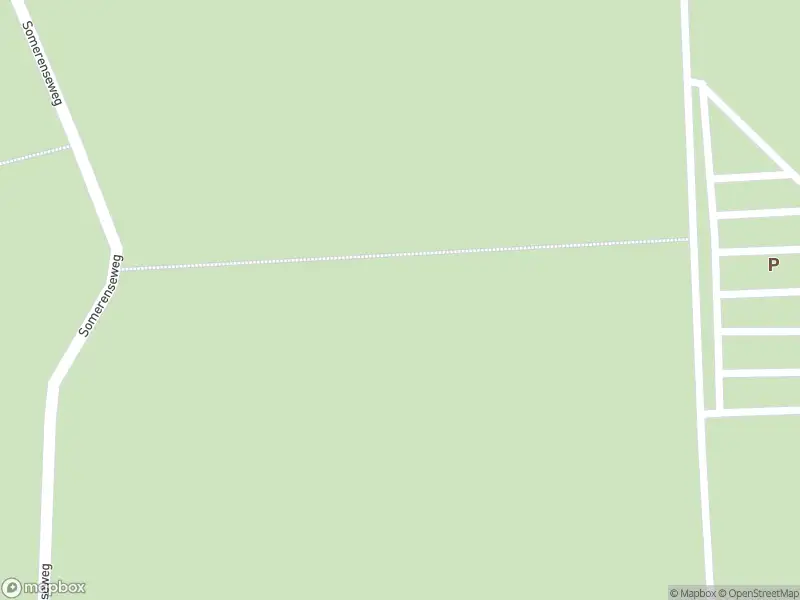 Brandweer met gepaste spoed naar de Oudenmolen in Heeze