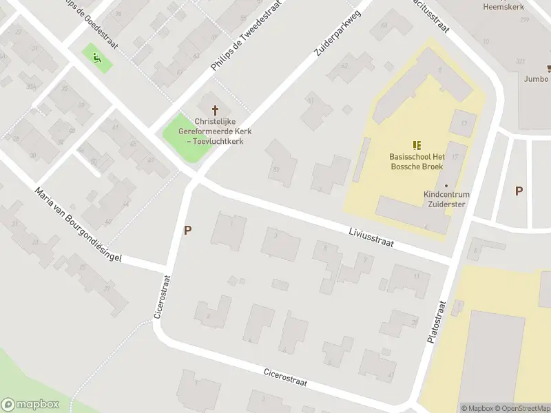 Brandweer met grote spoed naar de Liviusstraat in 's-Hertogenbosch vanwege waarnemen gaslucht