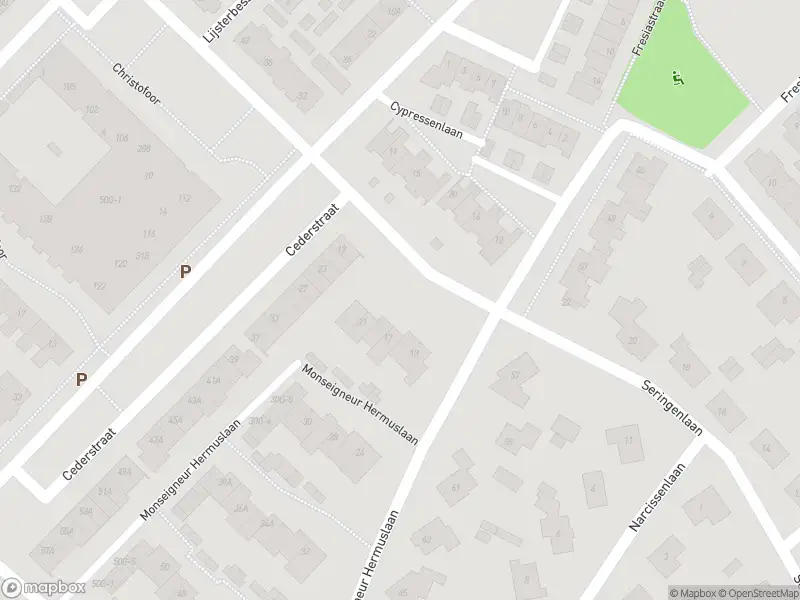 Brandweer met gepaste spoed naar de Van Wittemstraat in Sint-Michielsgestel