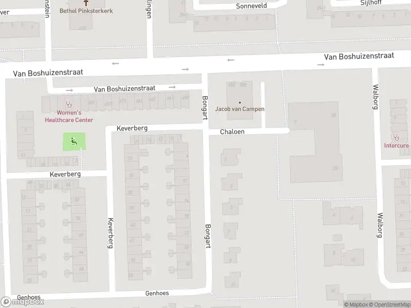 Brandweer met gepaste spoed naar de Bongart in Amsterdam