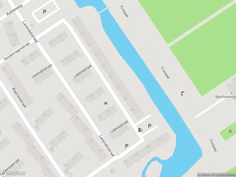 Ambulance met gepaste spoed naar de Lobeliastraat in Vlaardingen