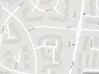 Overlastmelding Vogelzand in Julianadorp