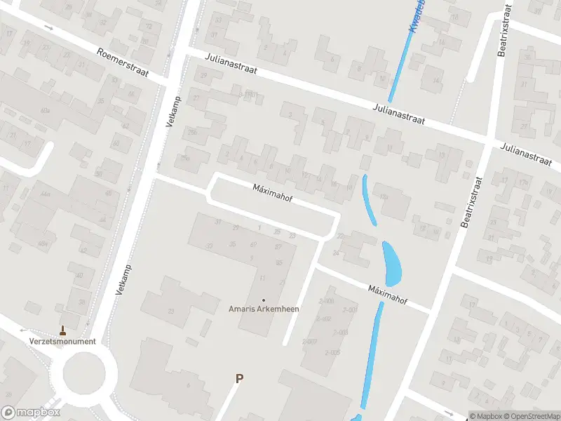 Ambulance en brandweer met grote spoed naar de Máximahof in Nijkerk