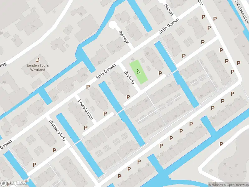 Ambulance met gepaste spoed naar de Bruinvis in Naaldwijk