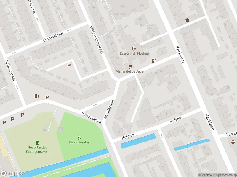 Ambulance met grote spoed naar de Amaliaplein in Wateringen