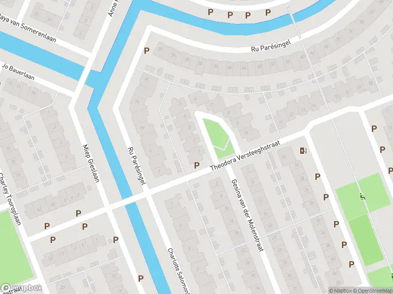 Ambulance met grote spoed naar de Theodora Versteeghstraat in Pijnacker