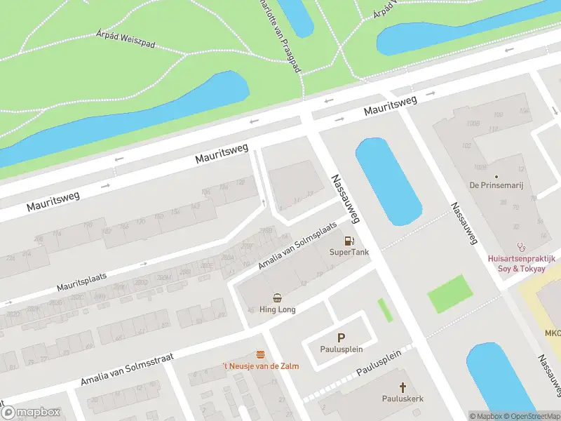 Overlastmelding Nassauplantsoen in Dordrecht gesloten