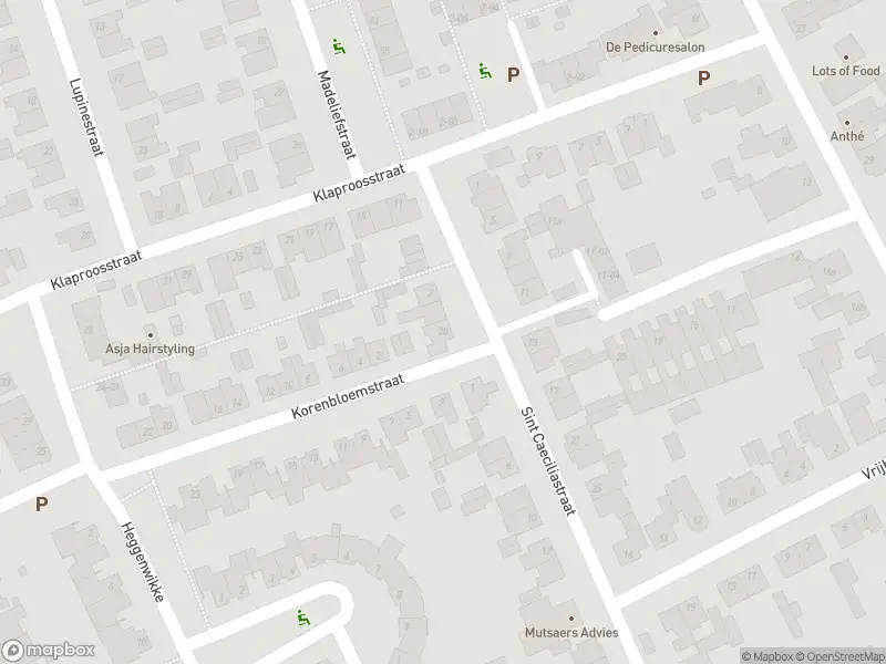 Overlastmelding Sint Caeciliastraat in Berkel-Enschot