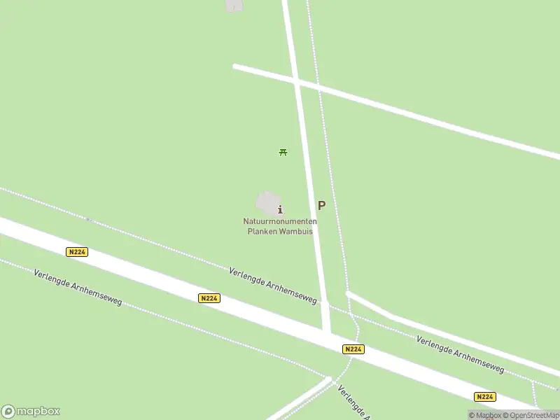 Brandweer en politie met grote spoed naar de Planken Wambuisweg in Ede