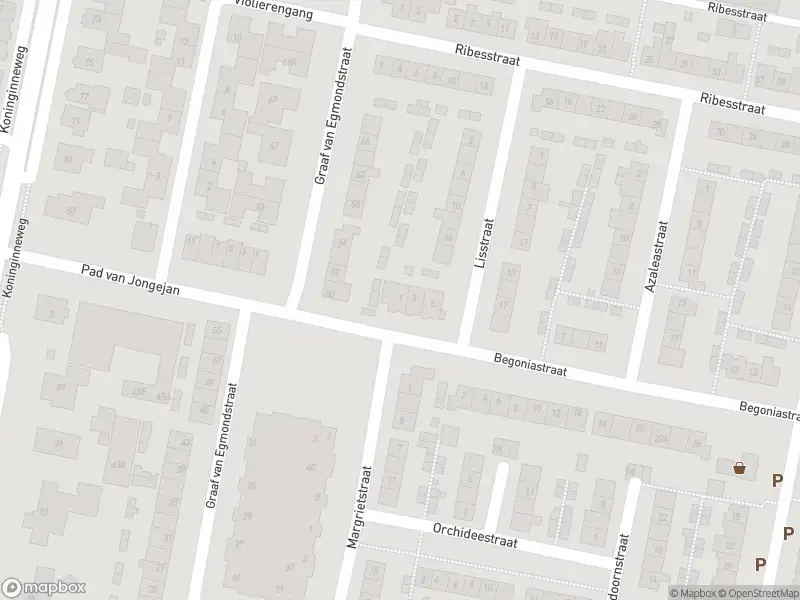 Overlastmelding Begoniastraat in Oud-Beijerland