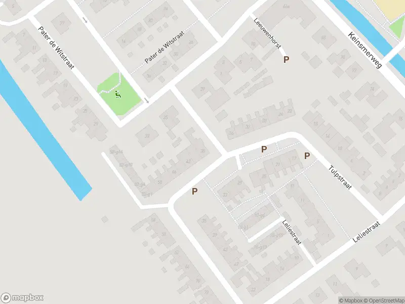 Overlastmelding Tulpstraat in 't Zand