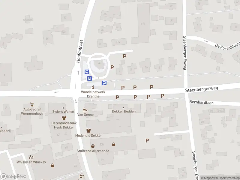 Brandweer met gepaste spoed naar de Steenbergerweg in Zuidwolde