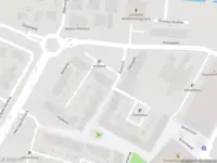 Brandweer met gepaste spoed naar de Kuifeend in Culemborg