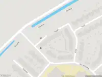 Overlastmelding Fazant in Oud-Beijerland