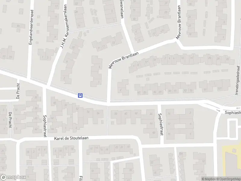 Overlastmelding Mevrouw Brantlaan in Waalre gesloten