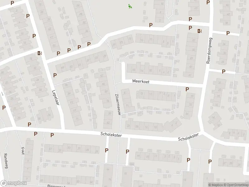 Overlastmelding Zilvermeeuw in Oud-Beijerland