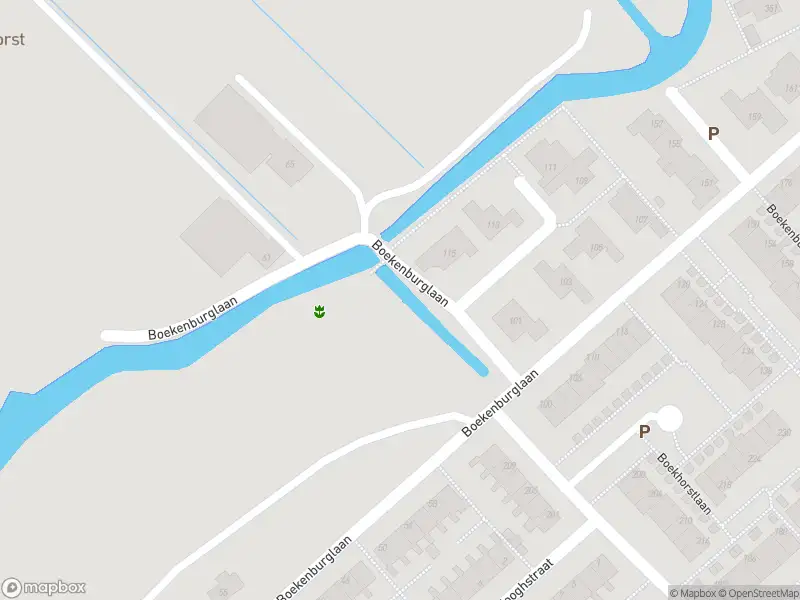 Overlastmelding Boekenburglaan in Voorhout gesloten