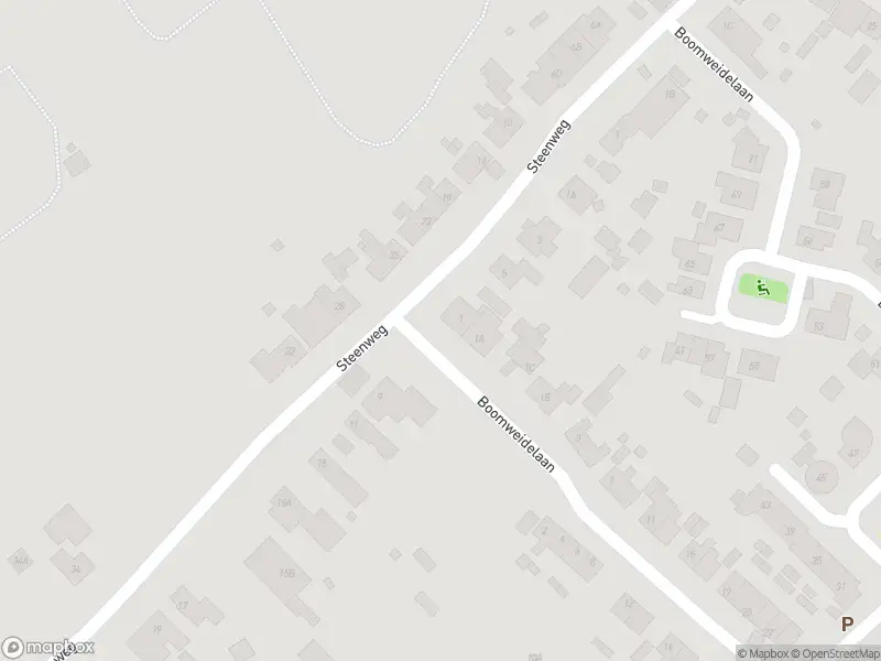 Overlastmelding Boomweidelaan in 4423AP Schore