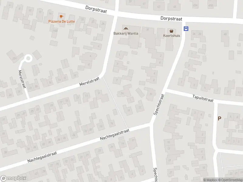 Brandweer met gepaste spoed naar de Beuningerstraat in De Lutte vanwege waarnemen gaslucht