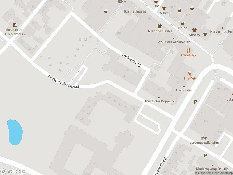 Brandweer met gepaste spoed naar de Mieke de Brefstraat in Schijndel