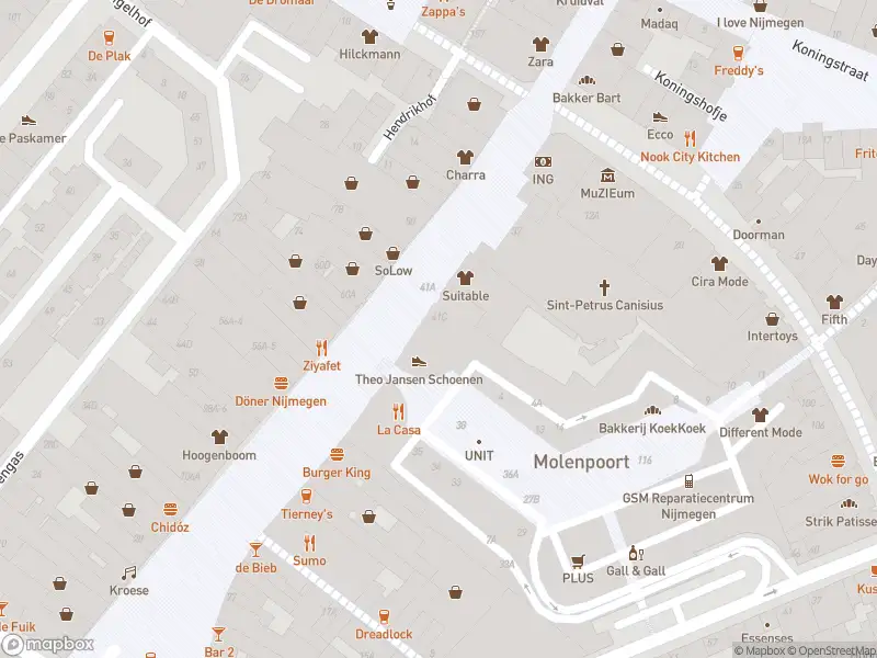 Politie naar de Stationsplein in Nijmegen