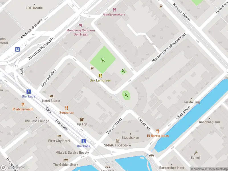 Ambulance met gepaste spoed naar de Lamgroen in 's-Gravenhage