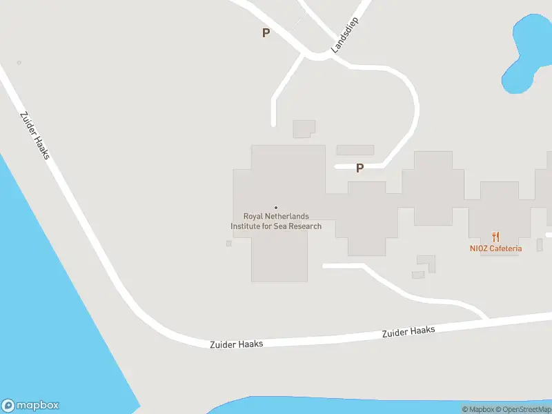 Ambulance en brandweer met grote spoed naar de Landsdiep in Den Hoorn vanwege middelgrote brand