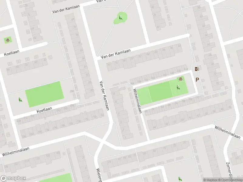 Ambulance met grote spoed naar de Wilhelminalaan in Delft