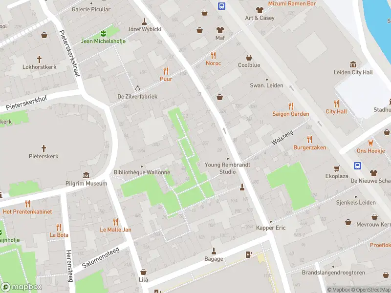 Ambulance met grote spoed naar de Pelgrimspoort in Leiden