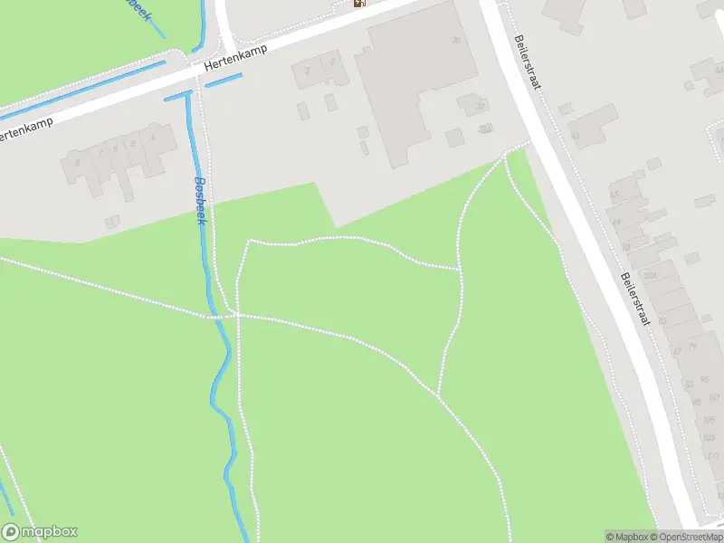 Brandweer met gepaste spoed naar de Brink in Assen