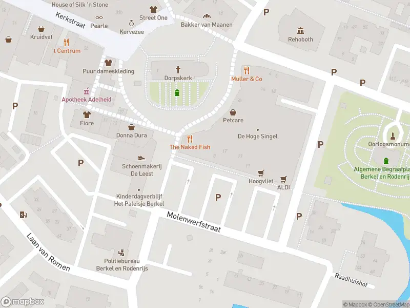 Ambulance met grote spoed naar de Molenwerfstraat in Berkel en Rodenrijs