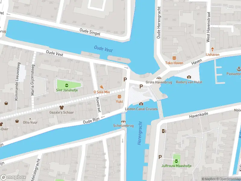 Ambulance met gepaste spoed naar de Haven in Leiden