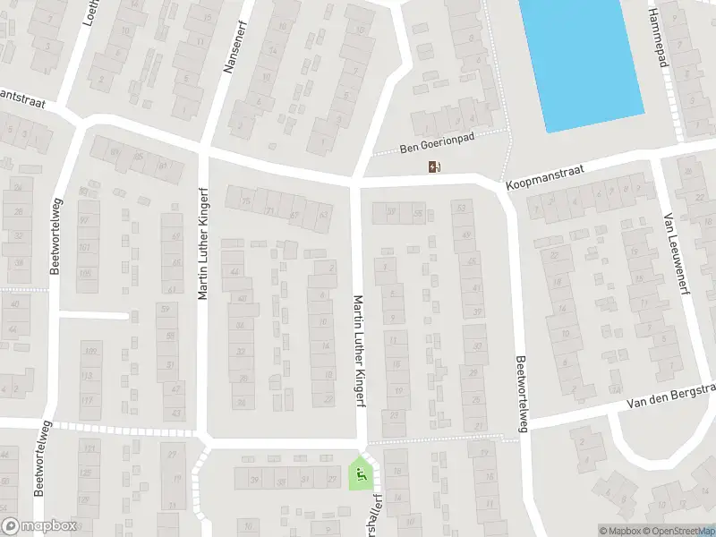 Overlastmelding Martin Luther Kingerf in Oud-Beijerland