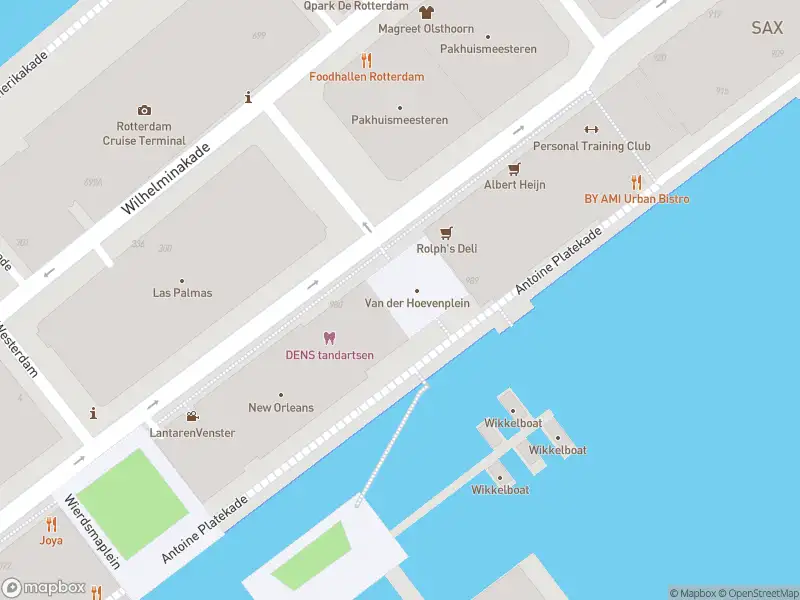 Ambulance met gepaste spoed naar de Van der Hoevenplein in Rotterdam