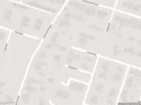 Overlastmelding Lijsterbes in Heiloo