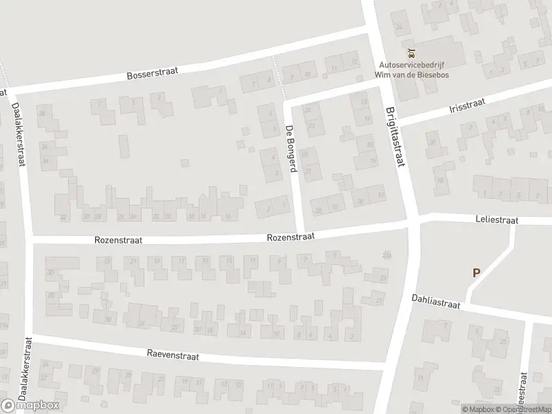 Ambulance met grote spoed naar de De Bongerd in Ittervoort