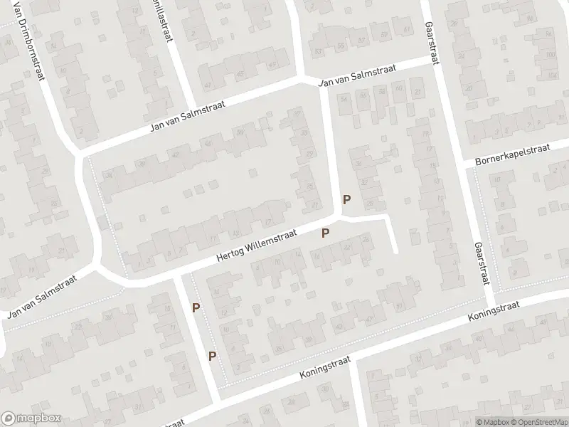 Overlastmelding Hertog Reinaldstraat in 6121NK Born