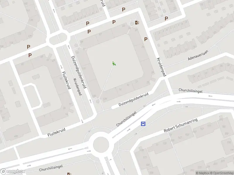 Ambulance met gepaste spoed naar de Duizendguldenkruid in Vlaardingen