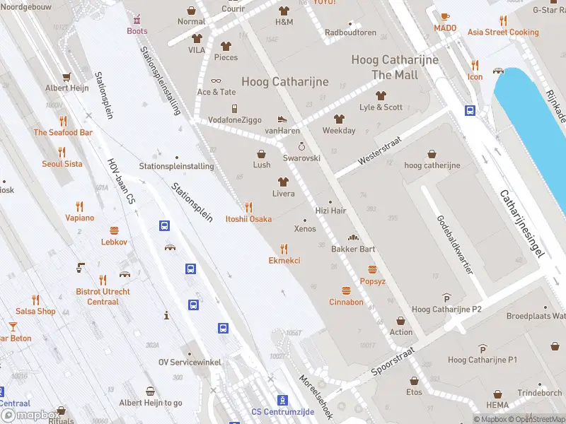 Politie naar de Stationsplein in Utrecht